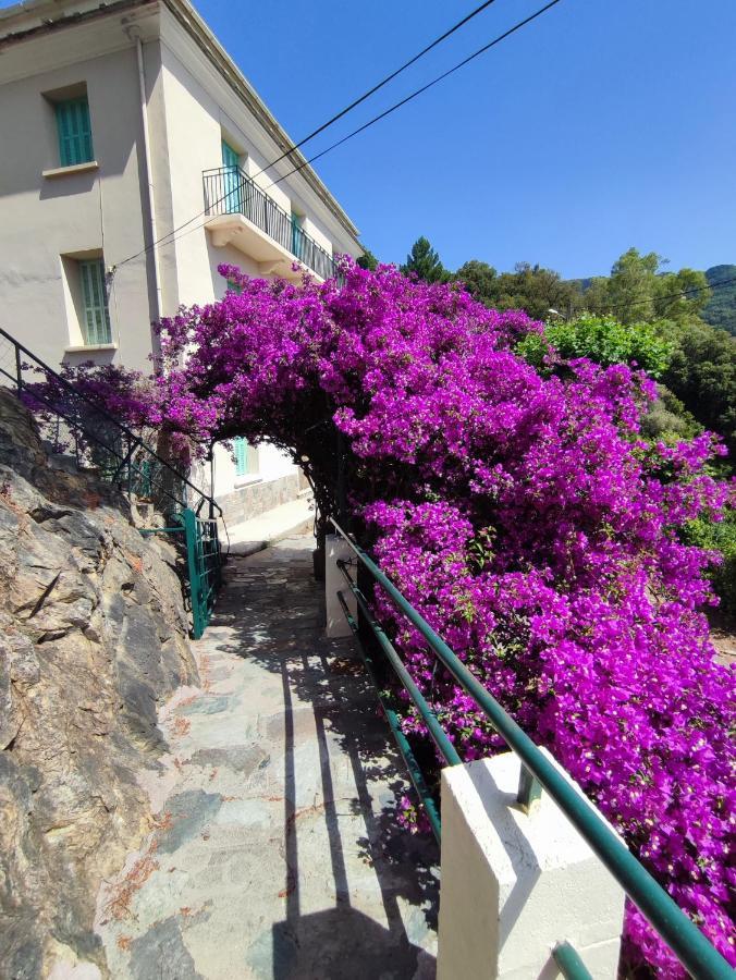 La Vallicella Farinole 외부 사진